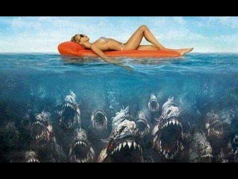 深海1万米有多恐怖?看完之后才明白,为何对海洋感到畏惧